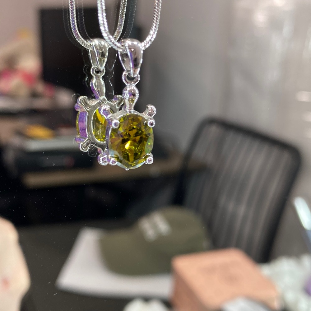 Turtle necklace